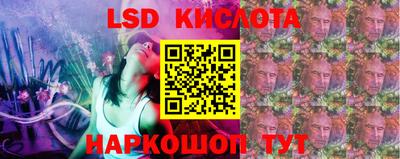 амф Гусев