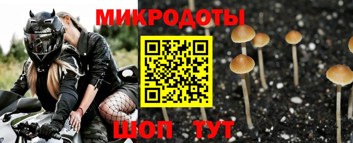 наркота  Вход с VPN  Узловая  Галлюциногенные грибы ЛСД 