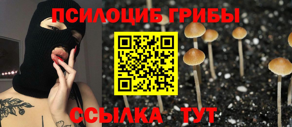Псилоцибиновые грибы Magic Shrooms Узловая